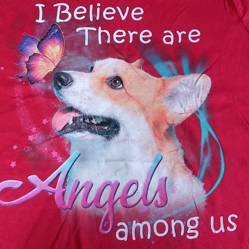Dogs Are Angels Graphic Fitted Tee